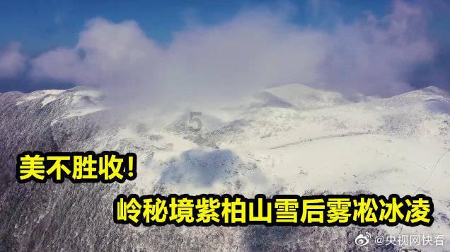 春雨直播app